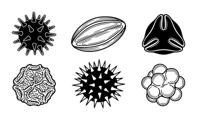 Obraz premium Pollen Grains Vector Set, Microscopic Plant Particles, Botanical Illustration, Allergy Triggers