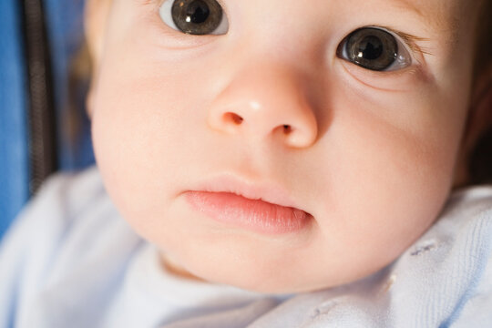 Portrait of a cute child