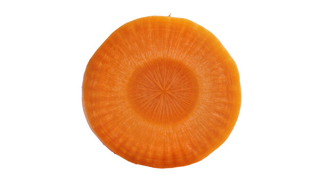 Orange carrot slice with visible core and texture