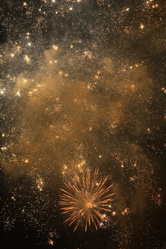 View of fireworks glittering in the sky