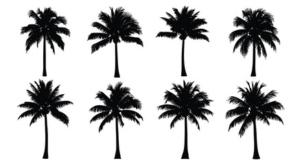Palm tree silhouettes on a white background tropical vegetation collection © Urmi512