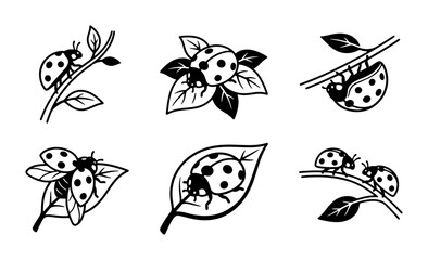 Charming Ladybug Icons Set, Cute Insect Vector Graphics, Nature Elements Collection © Maksud