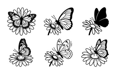 Butterfly and Daisy Illustrations, Delicate Insect Vector Art, Spring Nature Graphics, Black and White Floral Elements © Tayeb