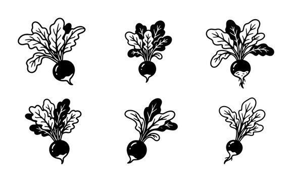 Six Hand-Drawn Beetroot Vector Icons, Simple Root Vegetable Illustrations, Organic Food Graphics