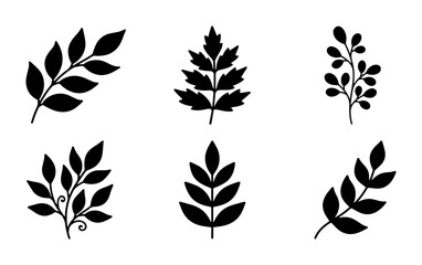Fototapeta premium Botanical Vector Elements, Delicate Leaf Sprigs, Organic Flourishes, Nature Motifs Set