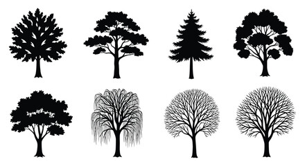 Fototapeta premium Tree Silhouettes Collection Black Vector Illustration On White Background