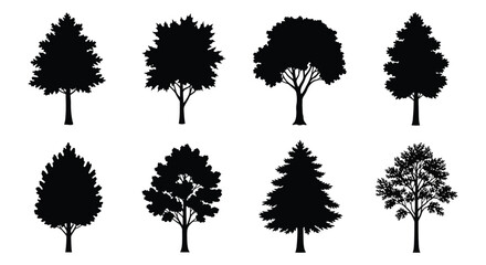 Tree silhouettes collection black vector shapes on white background © Urmi512