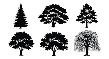 Tree silhouettes collection black shapes on a white background © Urmi512