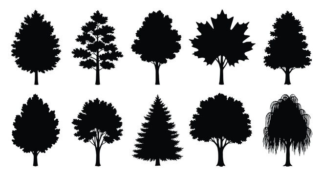 Tree silhouettes collection black shapes on a white background