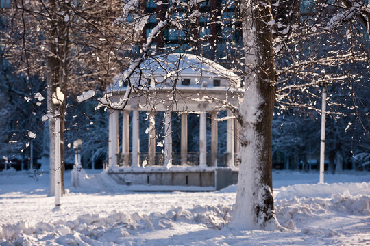 Gazebo in a public park, Parkman Bandstand
