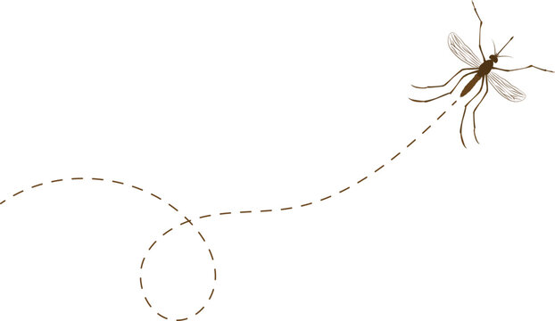 Mosquito flying path. A mosquito flying in a dotted line. The flight path of gnat. Mosquito flying on a dotted route. Hand drawn midge. Mosquito Fly Icon Vector illustration.