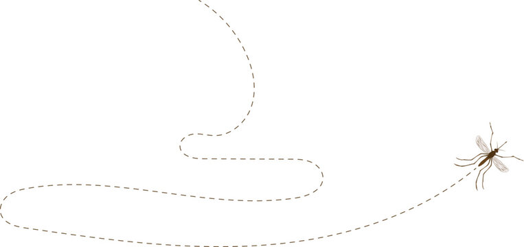 Mosquito flying path. A mosquito flying in a dotted line. The flight path of gnat. Mosquito flying on a dotted route. Hand drawn midge. Mosquito Fly Icon Vector illustration.