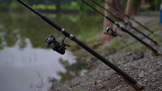 Many fishing rods along the lake.
