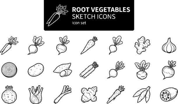 Root Vegetables Sketch Icon Set Carrot Bunch Beetroot Turnip Parsnip Radish Ginger Root Garlic Onion Potato Sweet Potato Kohlrabi Celeriac Fennel Bulb 20 Icons Hand-Drawn Sketch Style Vector