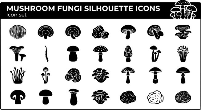 Mushroom Fungi Silhouette Icon Set Lion's Mane Reishi Chaga Shiitake Oyster Chanterelle Porcini Amanita Morel Enoki Cordyceps Turkey Tail Maitake Fly Agaric 20 Icons Editable Strokes Flat Vector