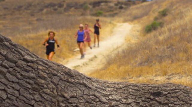 badwater ultra marathon athletes training for the race