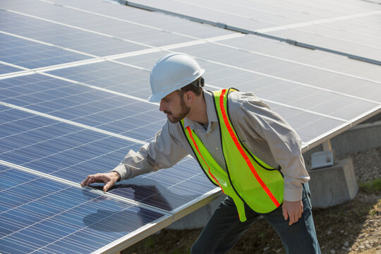 Power engineer looking at surface of panels at solar photovoltaic array