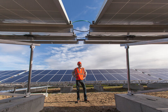 Power engineer standing in front of solar photovoltaic array