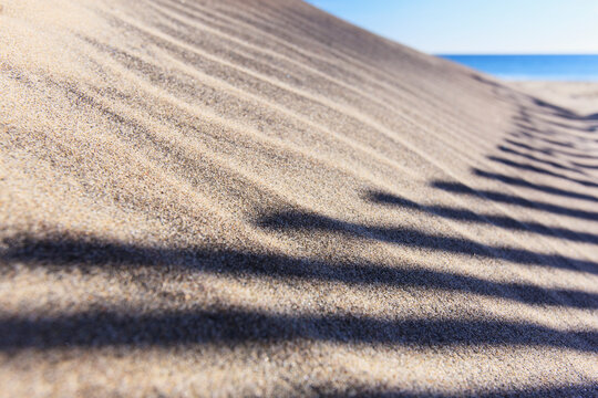 Shadow of sand fence on Fred Benson Town Beach