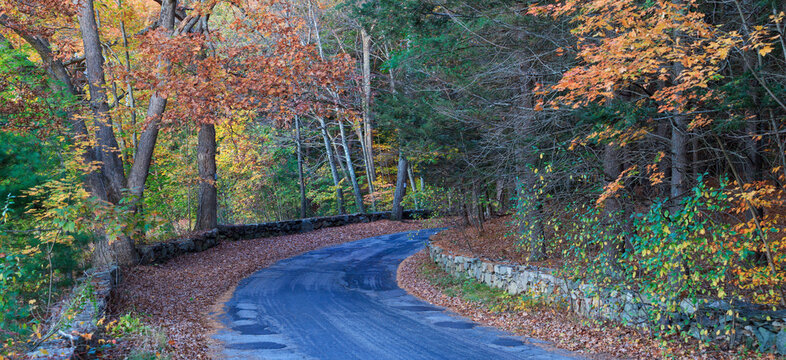 Farm road in fall