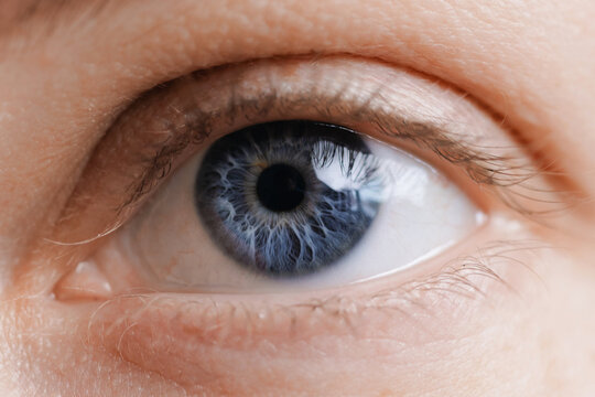 Confident female portrait, Close-up of caucasian natural eye with blue iris before Procedure Permanent makeup tattoo