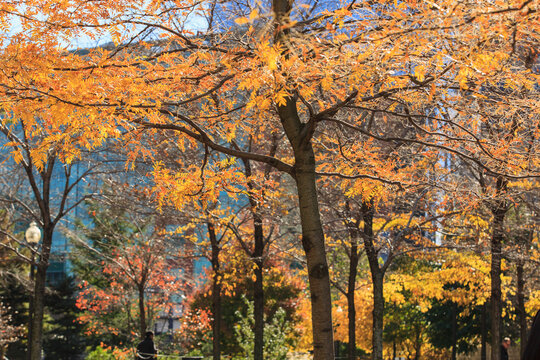 Rose Kennedy Greenway in fall