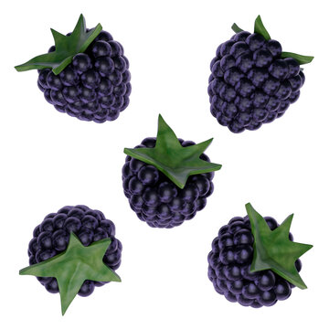 Blackberry Fruit Set Isolated on White Background