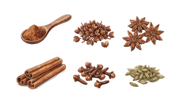 Watercolor Illustration of a Spices Set with Cinnamon, Star Anise, Cloves, Cardamom, and Pepper