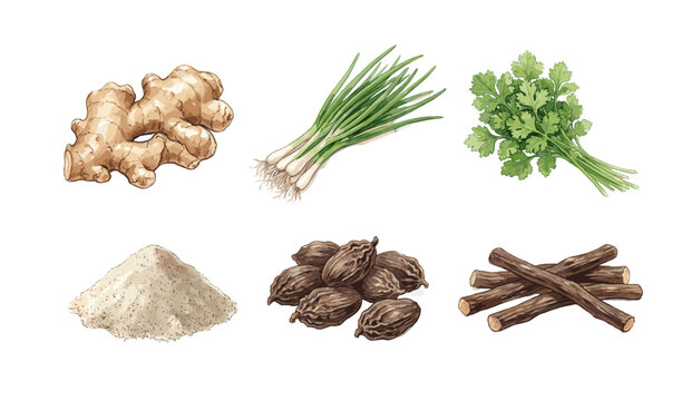 Watercolor Illustration of culinary ingredients ginger, scallions, cilantro, spice powder, black cardamom, and licorice root, perfect for food and cooking projects