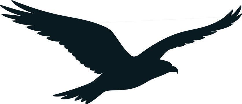Black silhouette of a hawk in flight with wings spread on a white background vector illustration