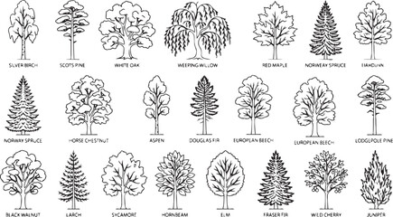 Various types of trees illustration collection © Sirajunnahar