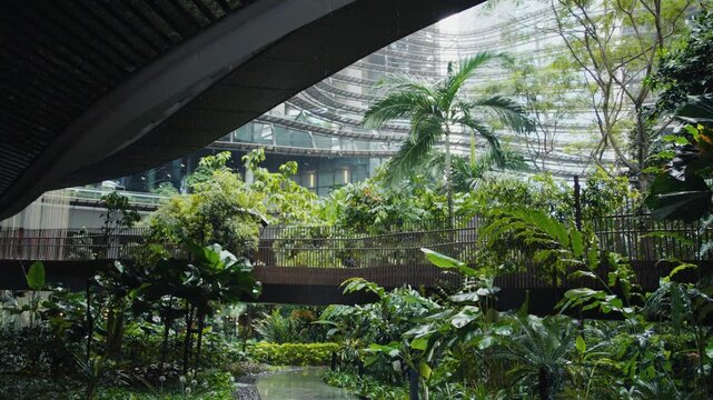 Person with umbrella walking on bridge in lush indoor garden