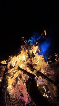 Relaxing Campfire Crackling Sound in Nature
