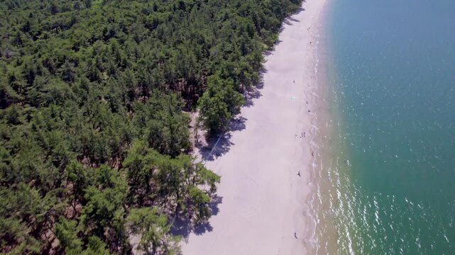 気比の松原（福井県敦賀市）の続く松林と白い砂浜の海岸線、真上から海岸沿いを前進するドローン空撮 / Coastline with pine forest and white sandy beach at Kehi no Matsubara in Tsuruga, Fukui, forward tracking drone aerial