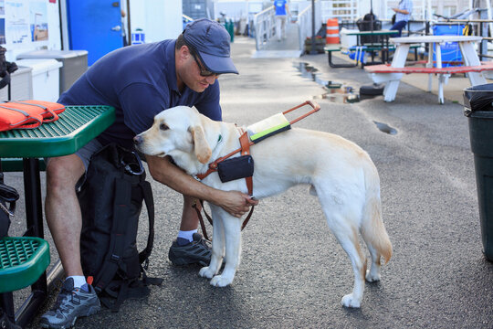Blind man sitting with his service dog