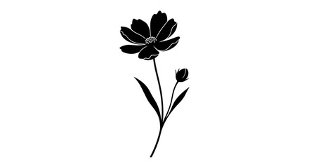 Elegant black silhouette of a single cosmos flower with a budding companion. © Haroh