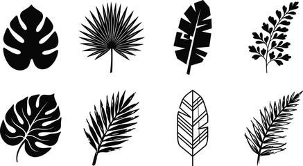 Tropical leaves vector collection featuring black silhouettes of monstera palm and banana fronds for minimalist jungle nature designs © MstMinara