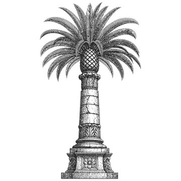 Vintage engraved illustration of a stylized palm tree on a decorative pedestal.