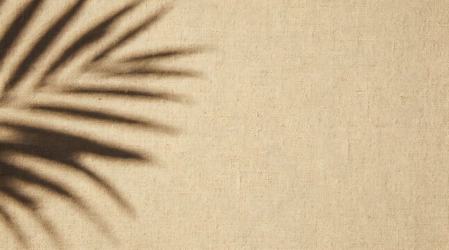 The shadow of a palm leaf falls on a sandy beach surface