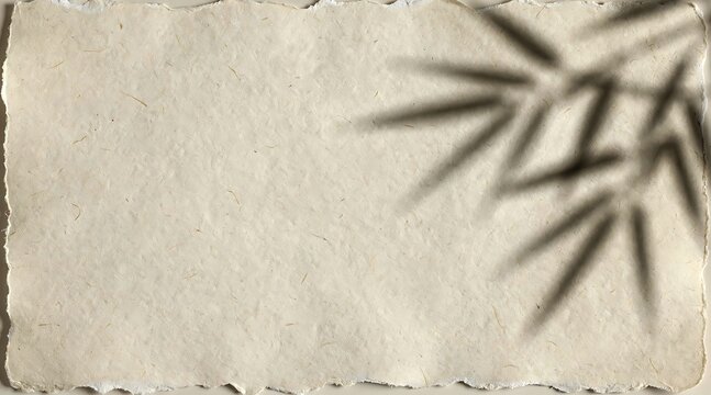A serene natural scene with a shadow of a plant on a rustic surface