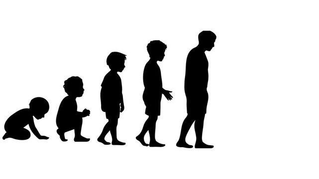 Human Life Cycle of a Man, full-length sequence showing the stages of male growth and development from birth to fatherhood. A newborn baby boy, toddler, young child, school student.