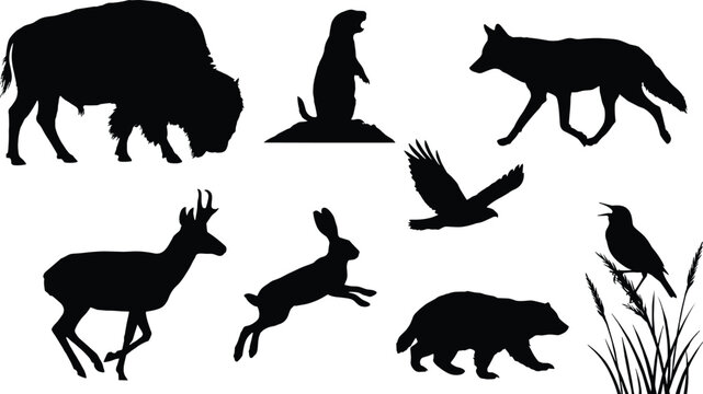Wildlife Animal Silhouette Illustrations Featuring Bison, Wolf, Deer, Hare, Bear and Birds in Natural Poses