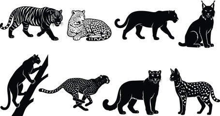 Collection of wild cat silhouettes and predator icons featuring tiger leopard cheetah panther lynx and serval illustrations © Manik