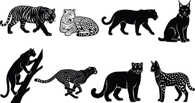 Collection of wild cat silhouettes and predator icons featuring tiger leopard cheetah panther lynx and serval illustrations