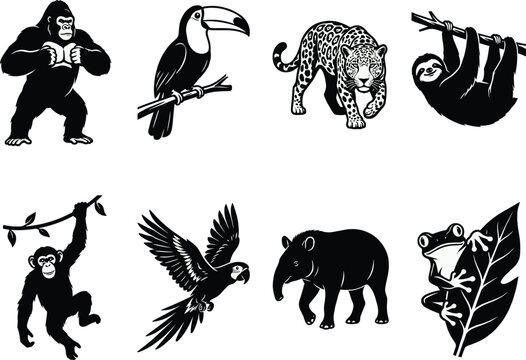 Set of eight rainforest animal vector silhouettes including gorilla jaguar toucan sloth parrot and frog icons