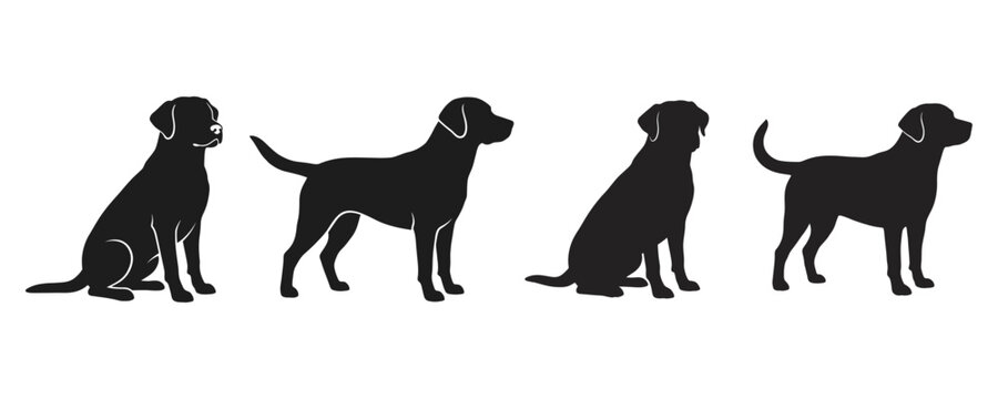 Labrador Retriever Dog Silhouettes Collection with Black Purebred Dogs in Sitting and Standing Poses Set