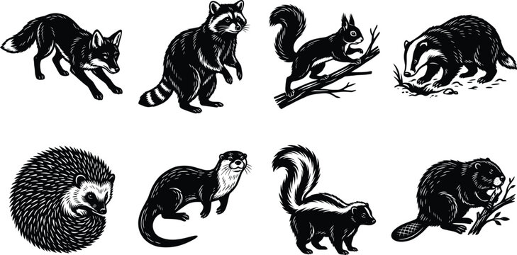 Vintage woodcut style illustrations of woodland forest animals including fox raccoon squirrel badger hedgehog otter skunk and beaver