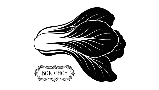 Very beautiful black-and-white engraved vector illustration featuring bok choy with layered leaves, elegant botanical details, and an engraved label reading "BOK CHOY", isolated on white background.