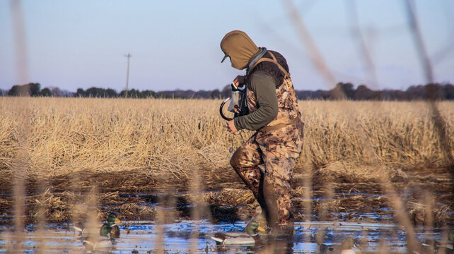 duck hunter 