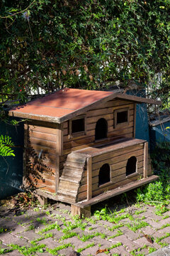 Pethouse provides rustic shelter